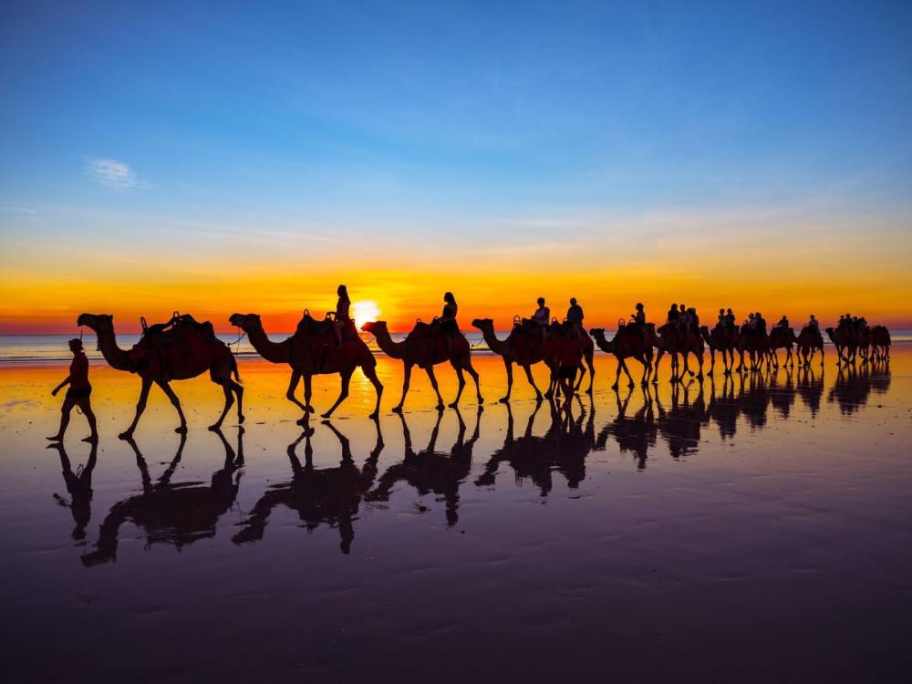 Row of camels, with rider, being led along a beach with sunset behind them.