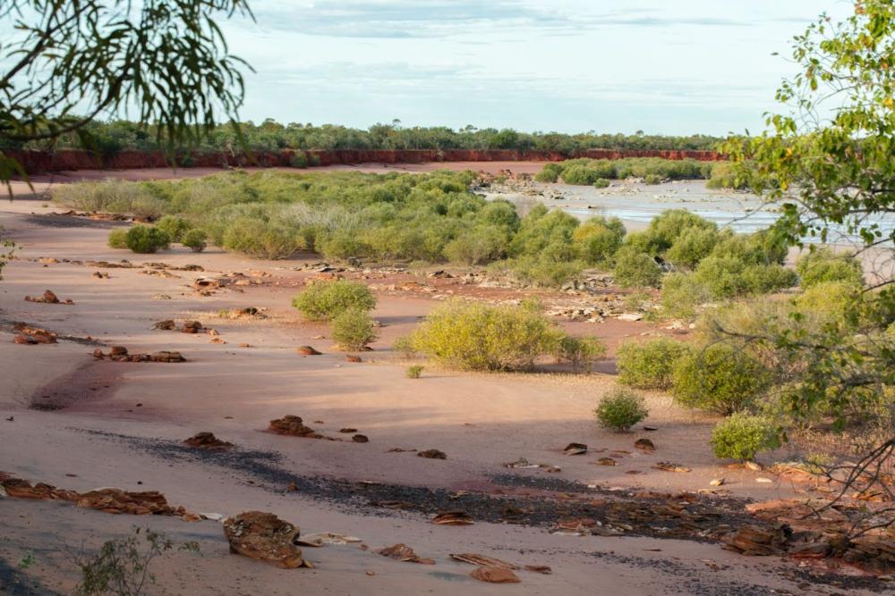 Red sand beach with rocks and shrubbery