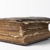 Illustrated Bible.