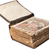 Illustrated Bible.