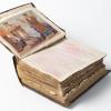 Illustrated Bible.
