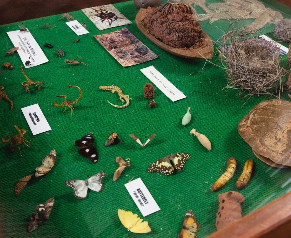 Murchison Museum Overview