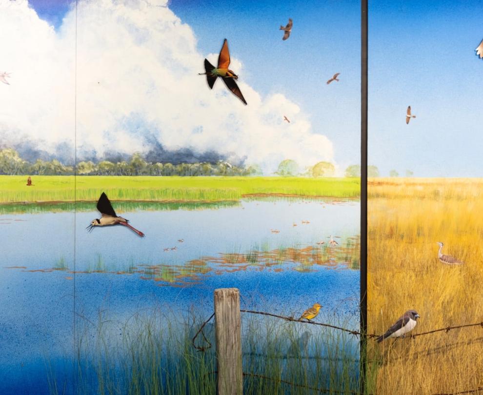 Broome Bird Observatory Overview