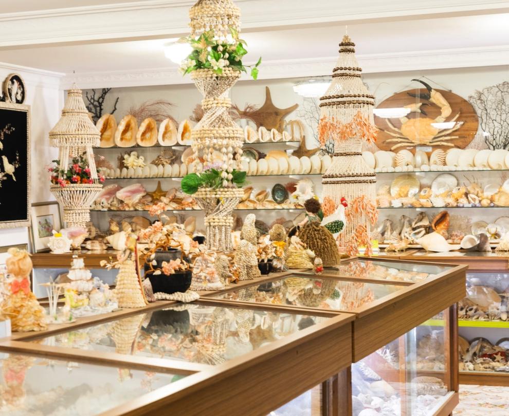 Belleview Shell Collection Overview