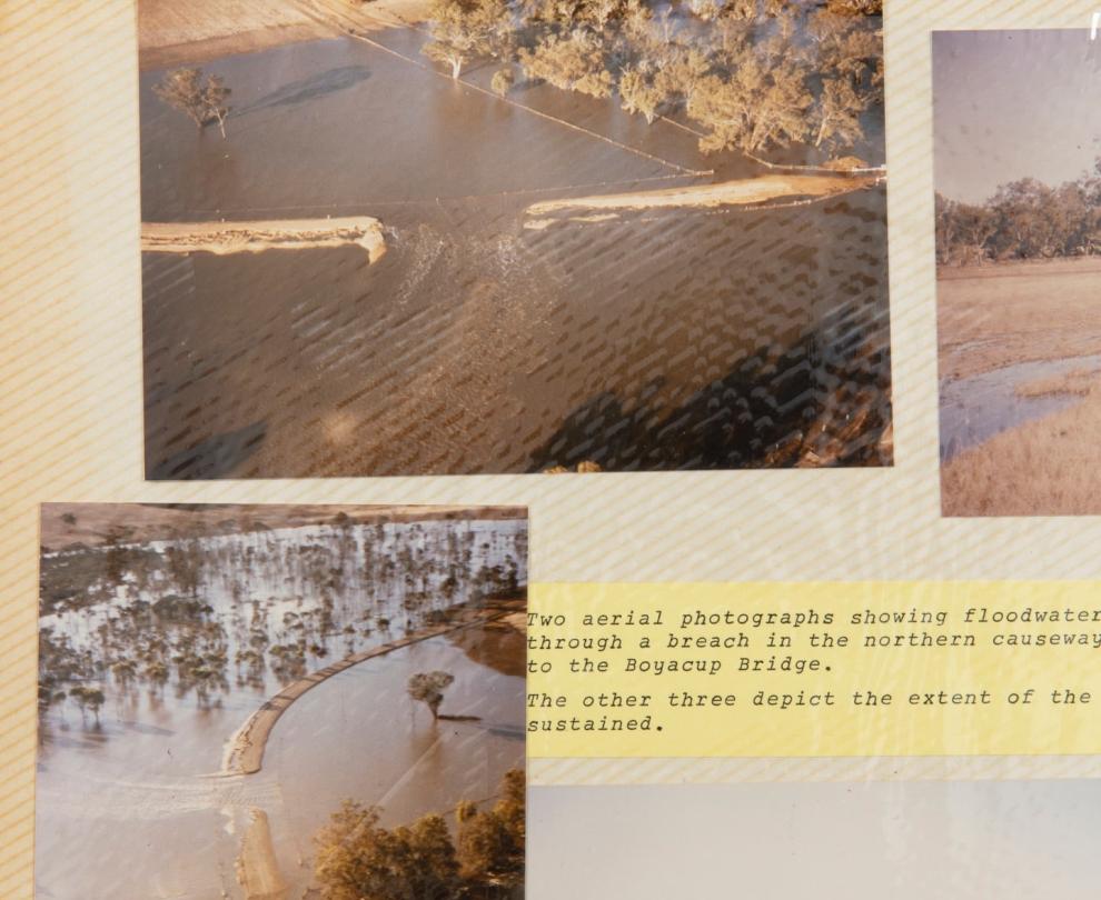 Cranbrook Library Overview