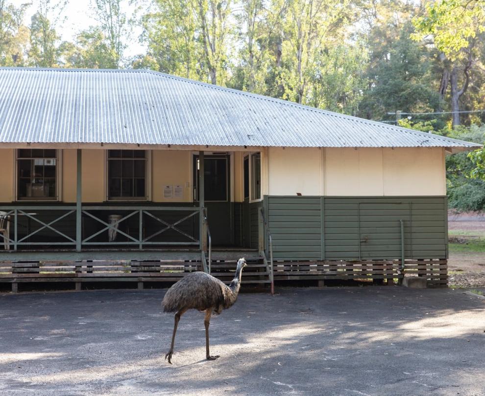 Donnelly River Village Museum Overview