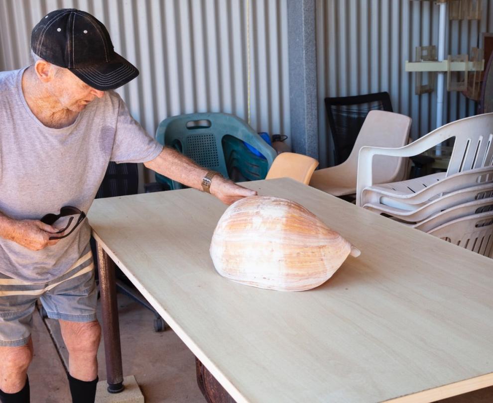 Neil and Judy Baker Shell Collection Overview