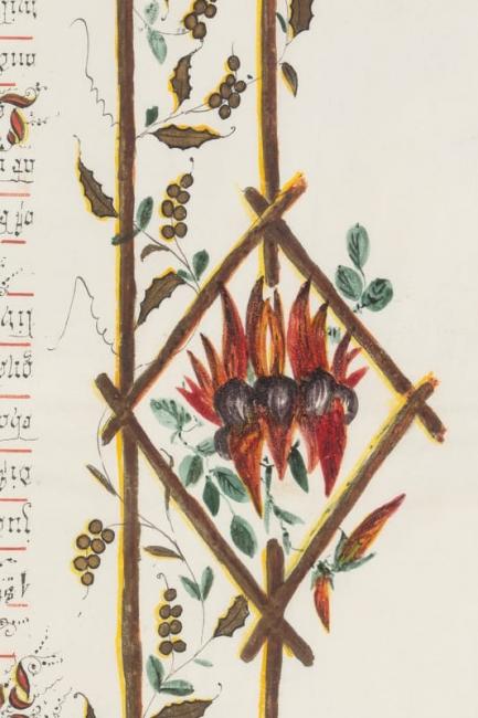 Adoring welcome to explorers