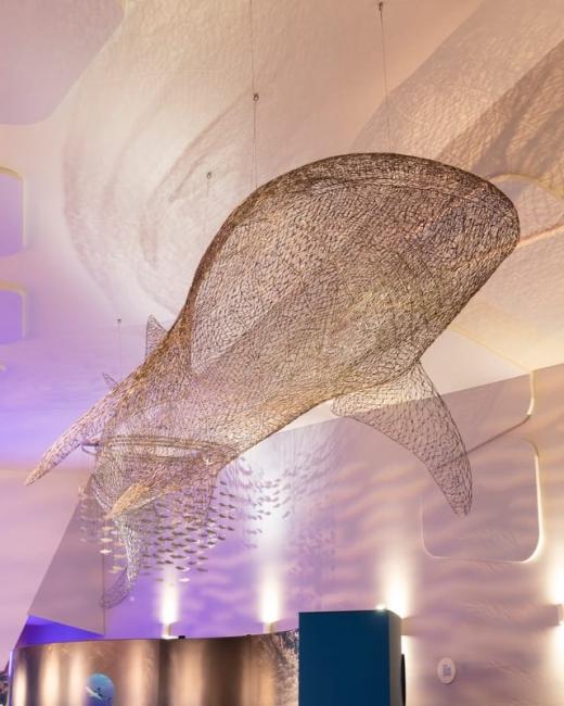 Whale shark wire artwork