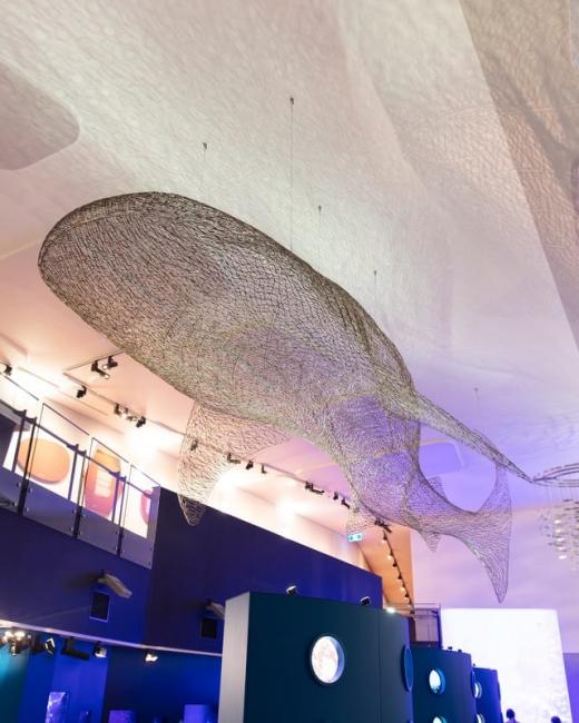 Whale shark wire artwork