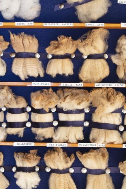 Samples of wool clip from all the local stations