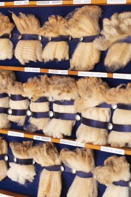 Samples of wool clip from all the local stations
