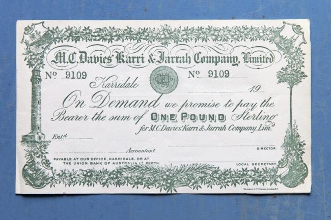 MC Davies mill town currency