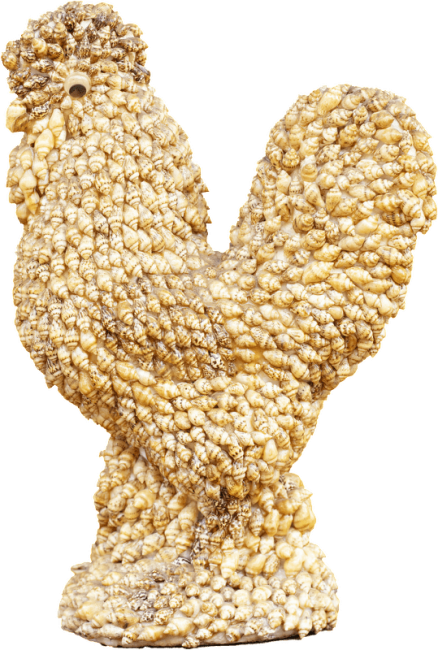 Avid collectors of unusual treasures