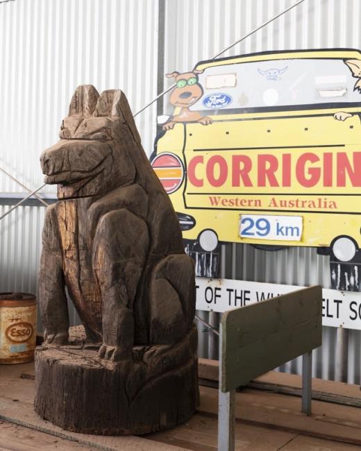 Dog in a ute queue – World Record holders