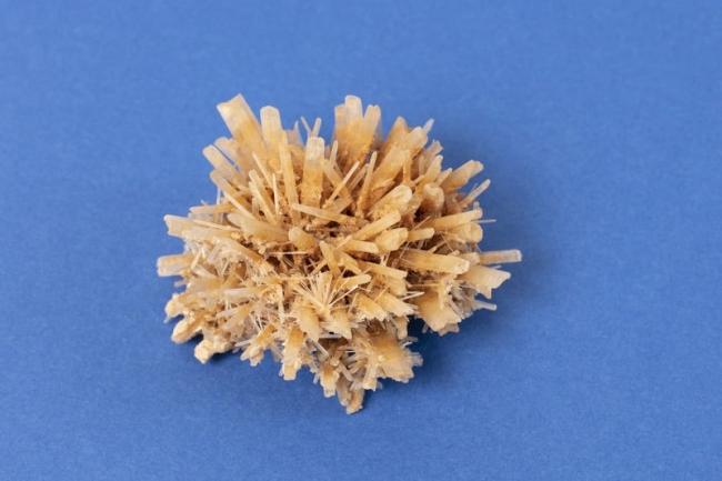 Beauty in everyday items