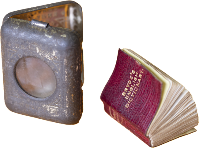 Get out your microscope for the world’s smallest dictionary