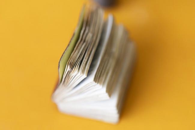 Get out your microscope for the world’s smallest dictionary