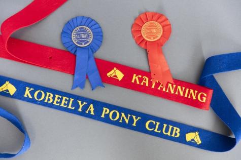 Pony club