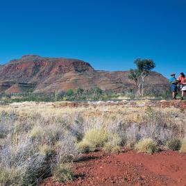 Mount Bruce