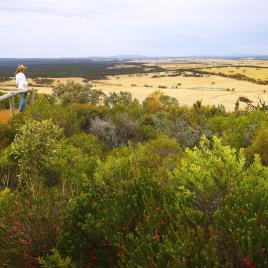 Archer Drive Scenic Drive and Lookout