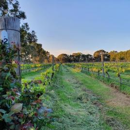 Neilson Estate Wines