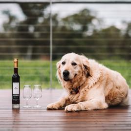 Swan Valley Fortified Wine Trail