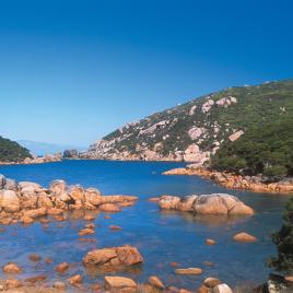 Waychinicup Camp at Waychinicup National Park