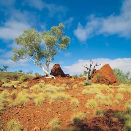 Millstream Chichester National Park
