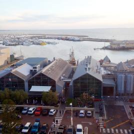 Little Creatures Brewery