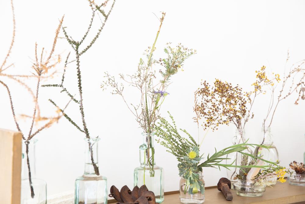 Selection of wildflowers in jars