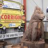 Dog in a ute queue – World Record holders