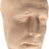 Replica Facial Plaster Cast