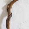 Walking Stick