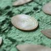 Mother of Pearl Brooches
