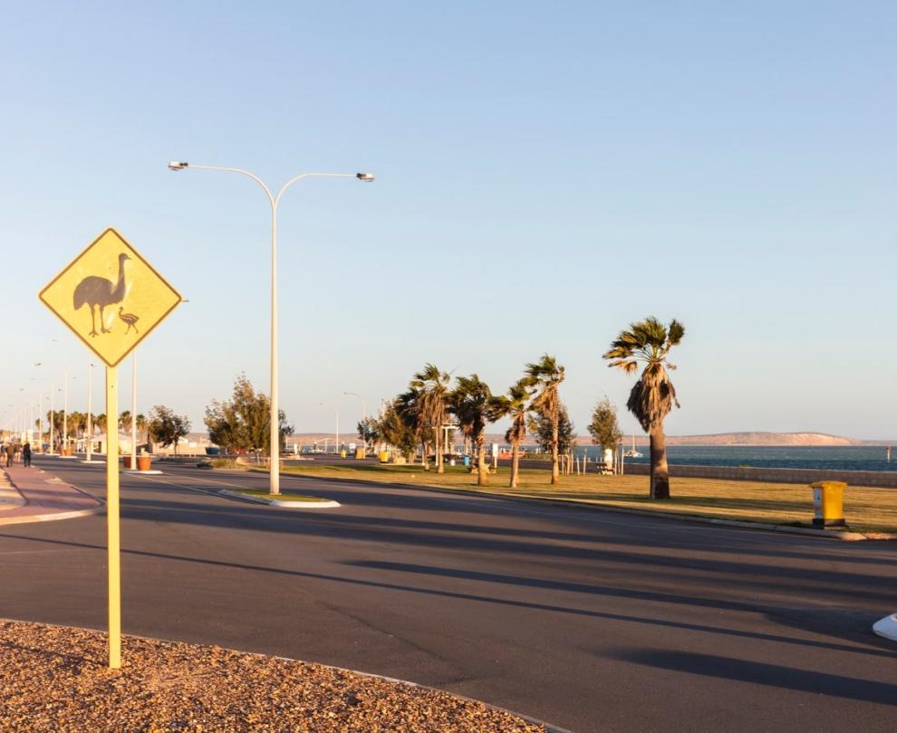 Shark Bay World Heritage Discovery and Visitor Centre Overview