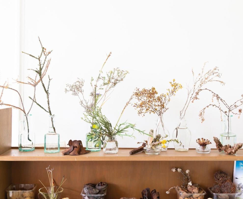 Kulin Branch - Wildflower Society of WA Overview