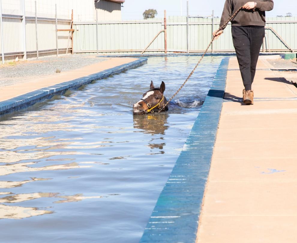 Signpost Racing Museum Overview