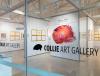 Collie Regional Art Gallery Overview
