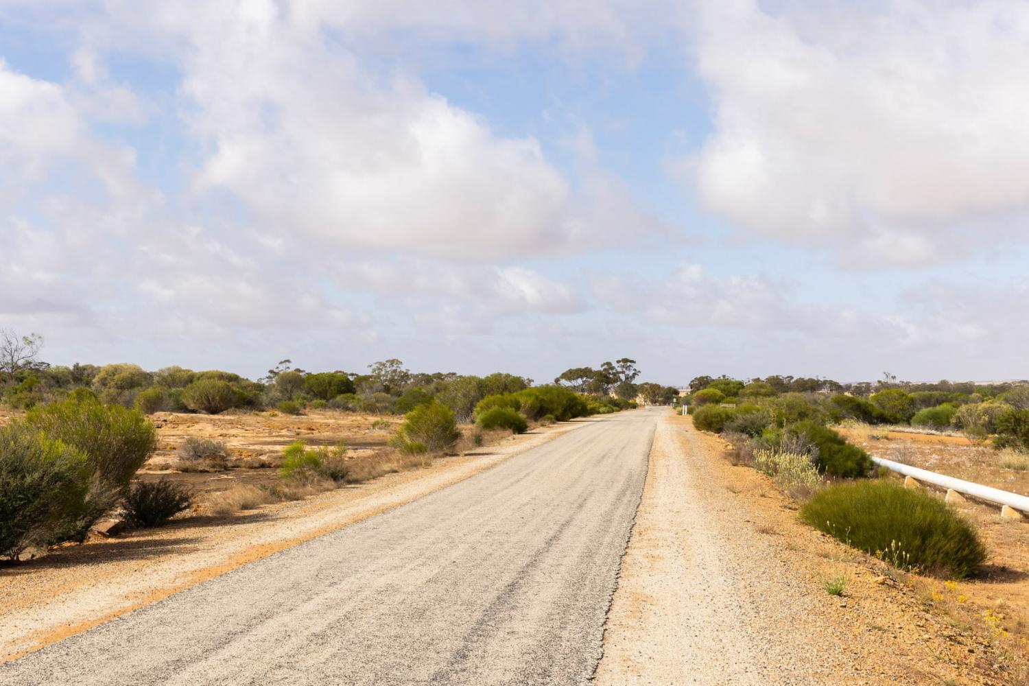 Golden Outback | WAnderland | Western Australian Museum