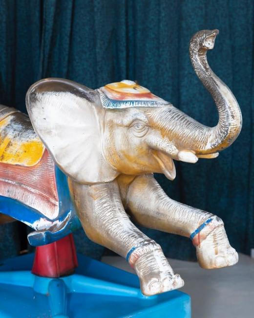 Ride-along elephant delights youngsters