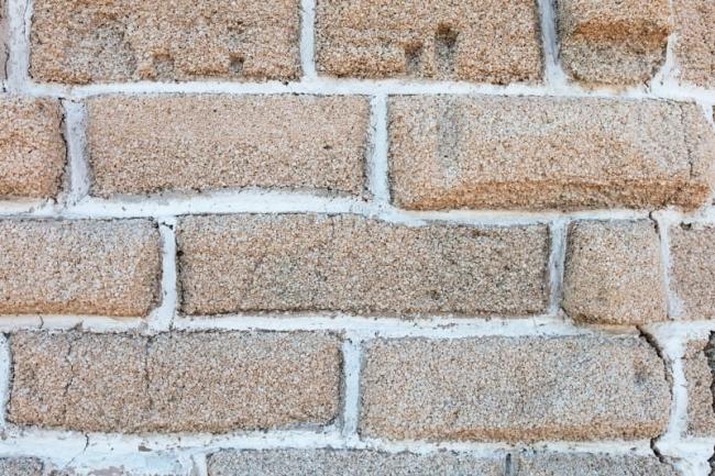 Tiny shells make solid houses