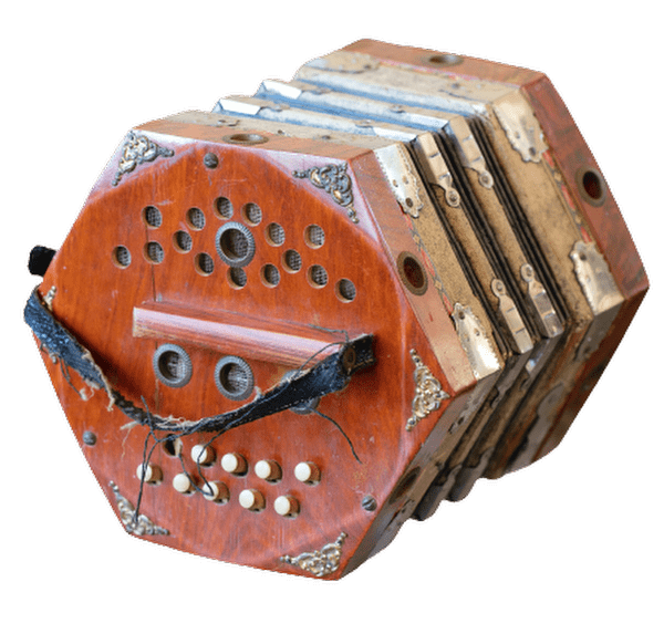 Concertina WAnderland Western Australian Museum