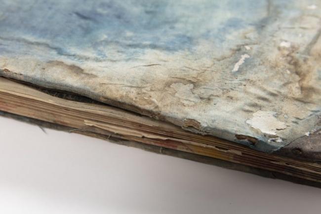 Police Occurrence Book, Vasse Station