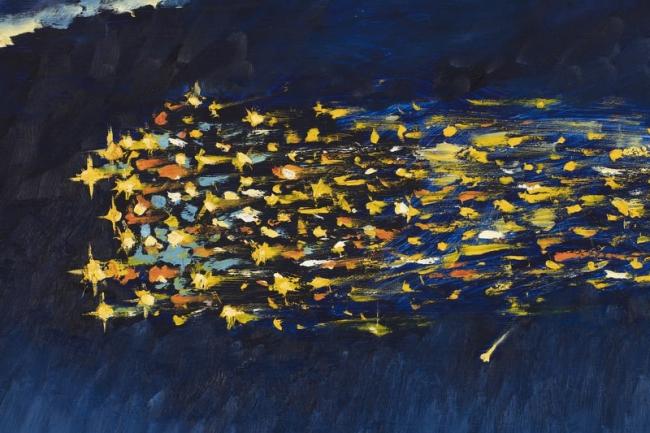 ‘“Skylab over Albany” by William H. Murray