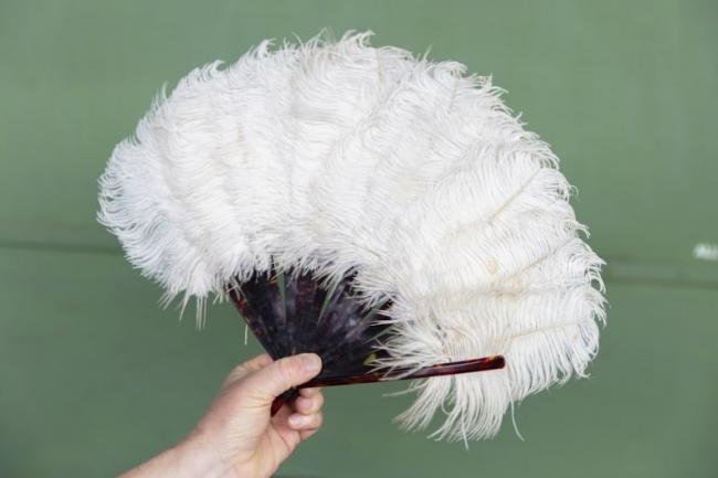 Ostrich feather store fan