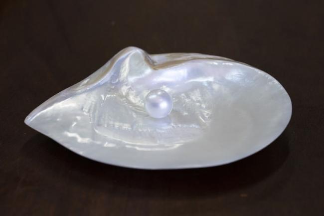 Mother of all pearls