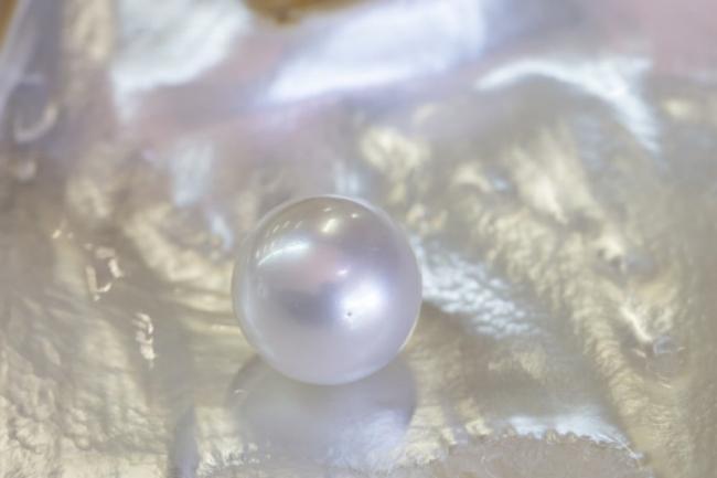 Mother of all pearls