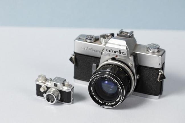 Kiku 16 Mod II Japan 1956 | WAnderland | Western Australian Museum