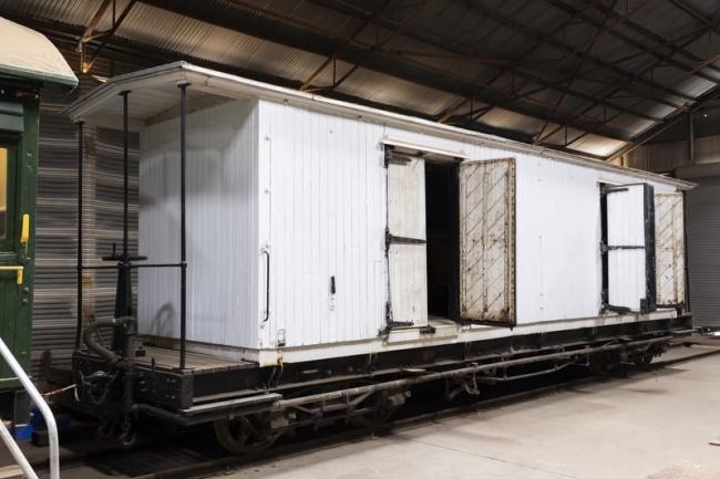 Do you smell rabbit?